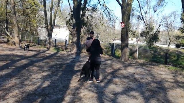 Кони-корса,нападение с бутылкой смотреть онлайн