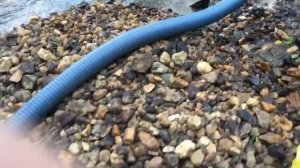 Эжектор нижний "Дипсис"-3"(75см)