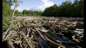 Рыбалка на Дальнем Востоке (ч.1)
