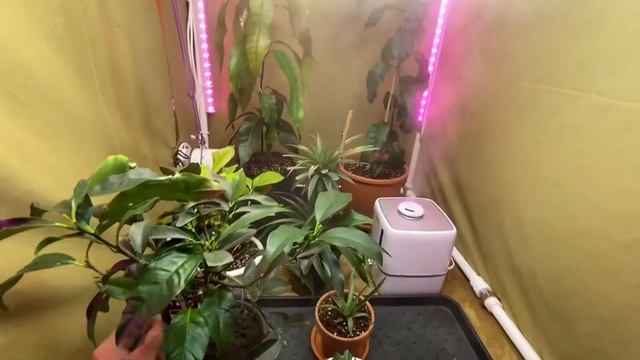 Growbox своими руками