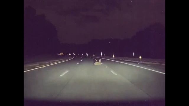 Tesla Model 3 Crash - Hits Deer on Navigate on Autopilot V10 10/10/2019 смотреть онлайн