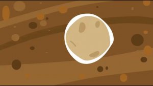 Азотофиксирующие бактерии. Зачем они нужны