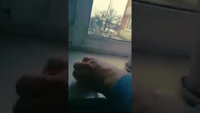 Мандарин Коване васе з Агромаркету