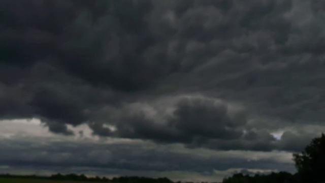 12:45//PHARAOH-Голое Дерево//небо//sky//summer//лето смотреть онлайн