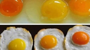 Оранжевый желток у кур