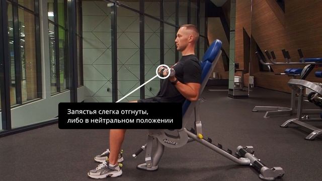 сгибание рук с гантелями на скамье 60 градусов смотреть онлайн