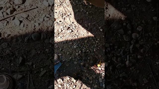 Замена направляющих тормозного суппорта Polo Sedan 2013 год