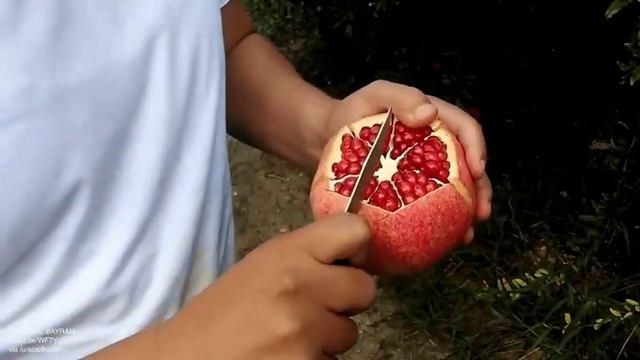 Вот как надо резать гранат😊😊😊😊😊😊 смотреть онлайн