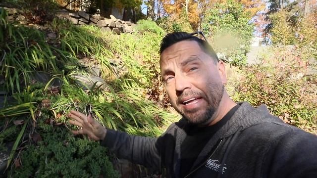 My WATERFALL is LEAKING | PONDLESS LEAK TEST смотреть онлайн