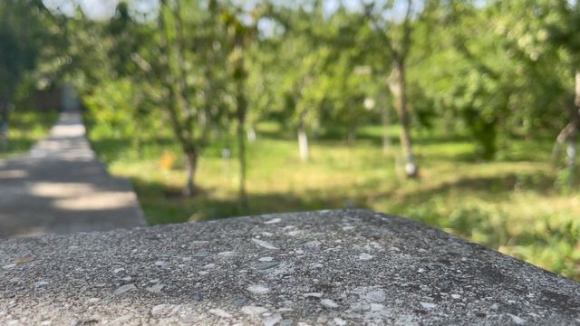 Fairytale of nature✨ || Сказка природы смотреть онлайн