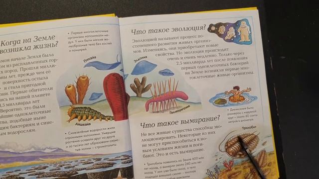 Когда на Земле Возникла жизнь? Что такое эволюция? Что такое вымирание? смотреть онлайн
