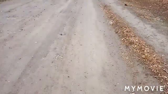 Неделя VLOGов:День 2/Вторник🧡 смотреть онлайн