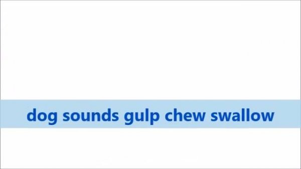 Gulp Sound Effects All Sounds