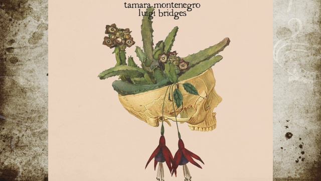 Tanoura - Tamara Montenegro & Luigi Bridges смотреть онлайн