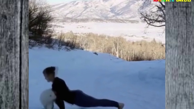 ПРИКОЛЫ с людьми и животными. Смешная нарезка. #1 смотреть онлайн