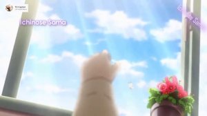 Gender Bender TG TF - Turning Into Cute Girls | Funny Anime Compilation