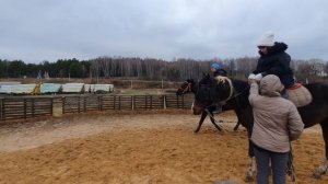 Основы верховой езды за 10 минут / Уроки верховой езды / Верховая езда