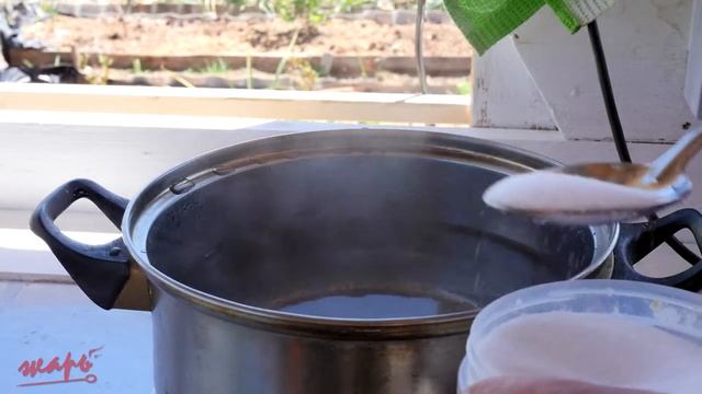 Засолка рыбы и икры в домашних условиях