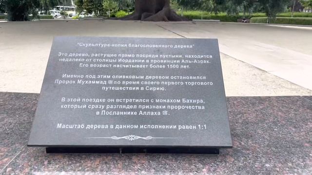 Грозный Мечеть Пешая Прогулка по Центру Грозного смотреть онлайн