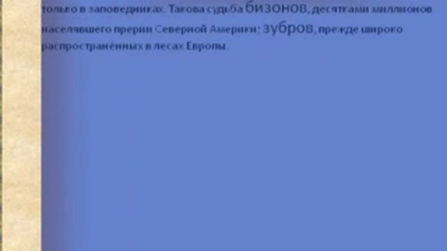 Воздействие человека и его деятельности на животных.AVI смотреть онлайн
