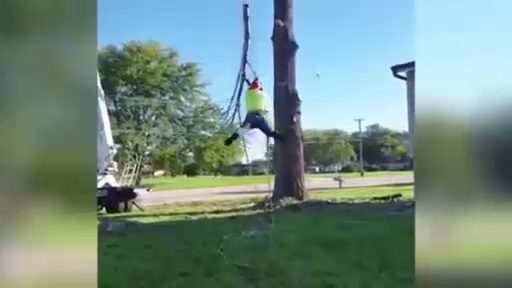 Подстраховал при спиливании дерева смотреть онлайн