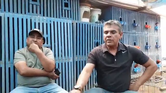 GALPON Sinaloa La Parra Arequipa 🇵🇪 смотреть онлайн