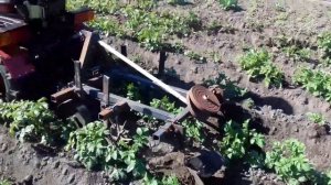 МТЗ 132Н окучивание картофеля