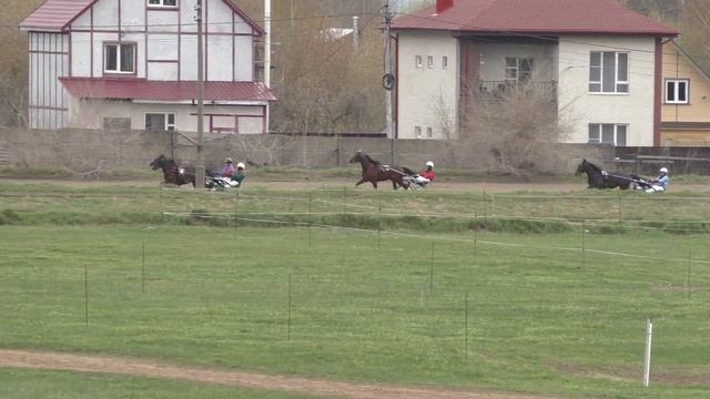 4 Раменский ипподром 30.04.2022 - Кв.з. - Лошади рожд. 2019 г. рысистых пород смотреть онлайн