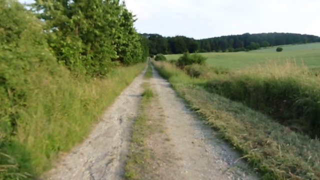 черешня/вишня