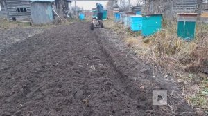 осенняя вспашка плугом,мотоблоком рысь мбр 7-10