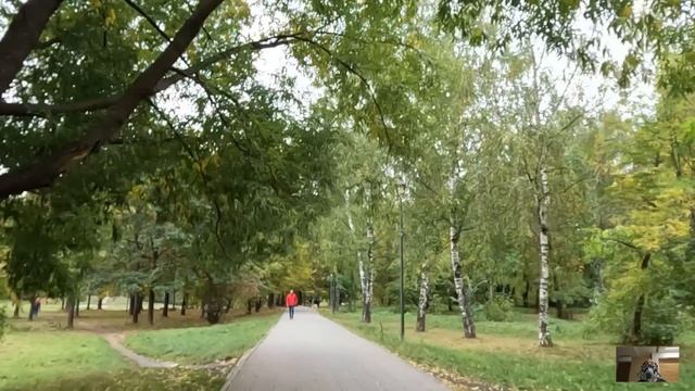 Хозяин магазина поймал воришку и включил видео с камер, а едва малышка увидела на них погибшего отц смотреть онлайн