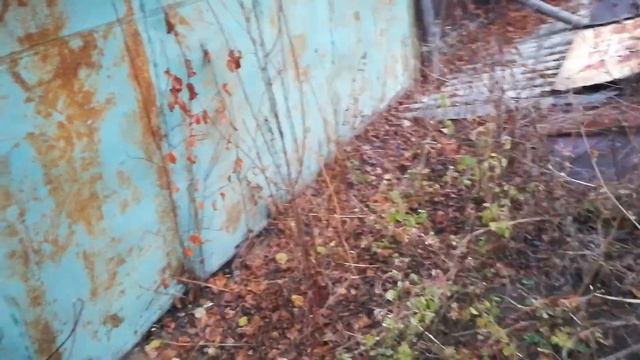 ?Уничтожение отростков поросли деревьев:⚠️НАКРЫТЬ УЧАСТОК НА ЛЕТО ОТ СВЕТА и корни погибнут. смотреть онлайн