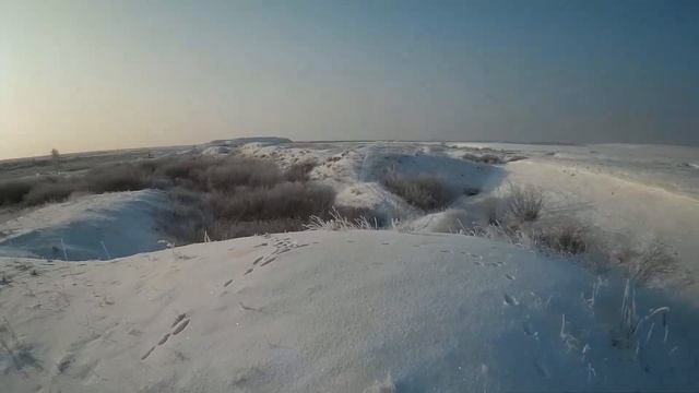 Удачная ОХОТА НА ЗАЙЦА в Казахстане 2020 смотреть онлайн