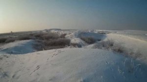 Удачная ОХОТА НА ЗАЙЦА в Казахстане 2020