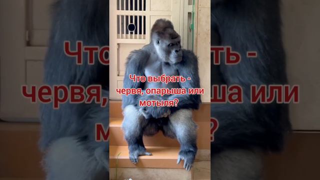 Рыбалка юмор