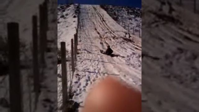 Allyn and Andrew Extreme Bobsled смотреть онлайн