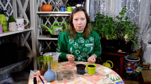 Сеем лук эксибишн на рассаду. Когда и как сеять? Правильное выращивание и посев лука смотреть онлайн