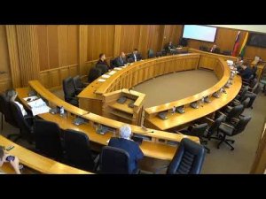 Комиссия по экономическому развитию и инвестициям, промышленности и предпринимательской деятельности