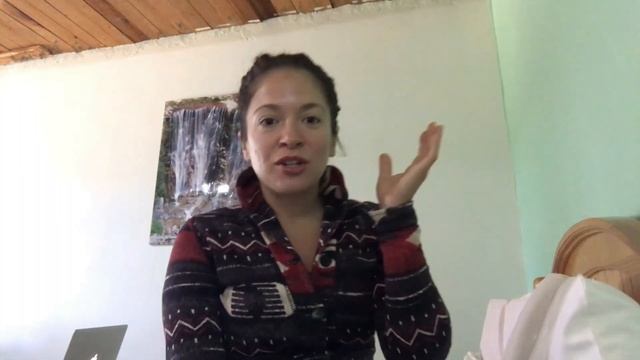 First Impressions of CHIHUAHUA смотреть онлайн