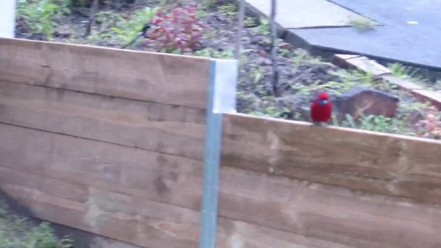 Мастерство и Саморазвитие