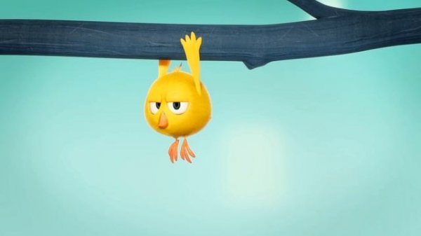 ? LIVE CARTOON | WHERE'S CHICKY | ? Cartoon in English for Kids  | Live Stream