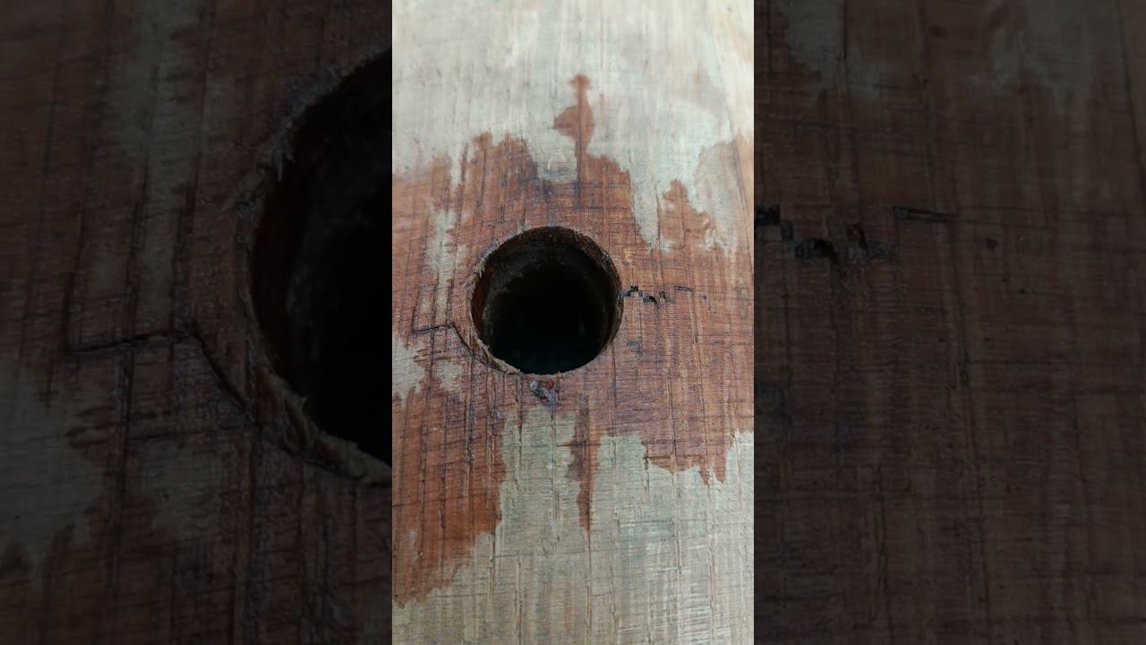 Природный реактор начинает работать #shorts #рецептыдобрыйжар #сидр смотреть онлайн