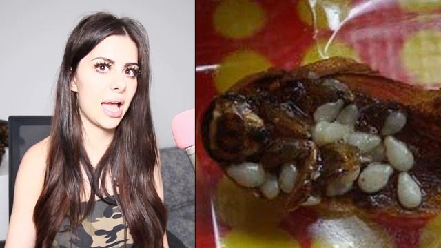 Shocking Things Found In Your Favorite Foods ! смотреть онлайн
