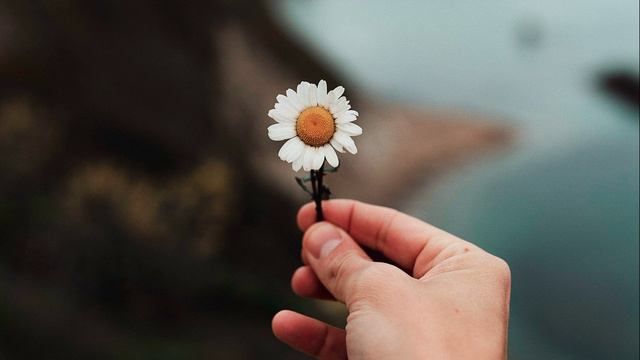 Искусство это лучшее, что могут сказать люди... В нем самое настоящее и сокровенное... :) смотреть онлайн