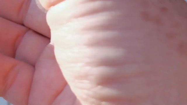 Бонсай в стиле Неагари (Neagari) - стиль "открытые корни" Продолжение 1 (Весна) смотреть онлайн