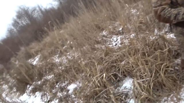 Охота на кабана / секач бросается на охотника / Фартовый охотник / Hunting смотреть онлайн