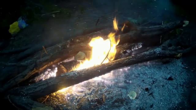 Ночь Карась Рыбалка! смотреть онлайн