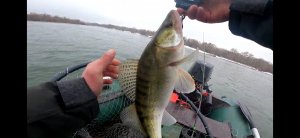 Поклевка хорошего судака, Ловля судака в Марте 2022.mp4