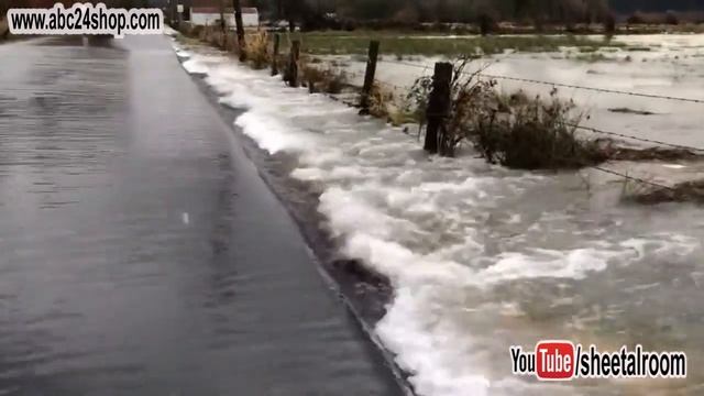 Fish Playing in Flood, Fish Play on the road, Fish Swimming Update: 01-03-2022 смотреть онлайн