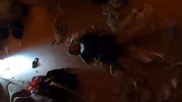 упоротый парень купается в туалетной бумаги )